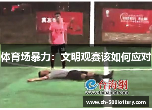 体育场暴力:文明观赛该如何应对 体育场暴力:文明观赛该如何应对