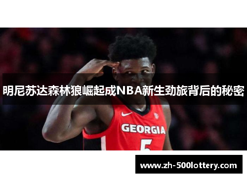 明尼苏达森林狼崛起成NBA新生劲旅背后的秘密 明尼苏达森林狼崛起成NBA新生劲旅背后的秘密